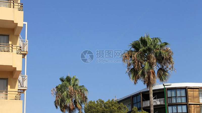 成都军事夏令营：价格背后的考量因素
